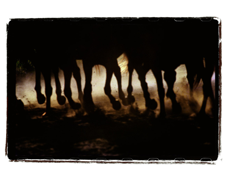 Oana Ivan Gallery - Beyond Borders