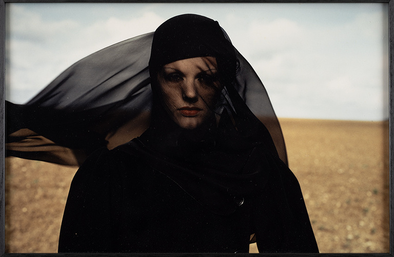 Oana Ivan Gallery - PKN_0026_8110 copie.jpg