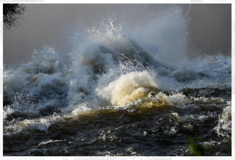 Oana Ivan Gallery - MOSI OA TUNYA AC .png