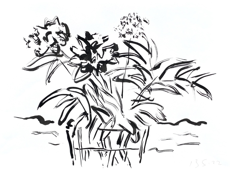 Oana Ivan Gallery - BSU_0023_IMG_3330 copy.jpg