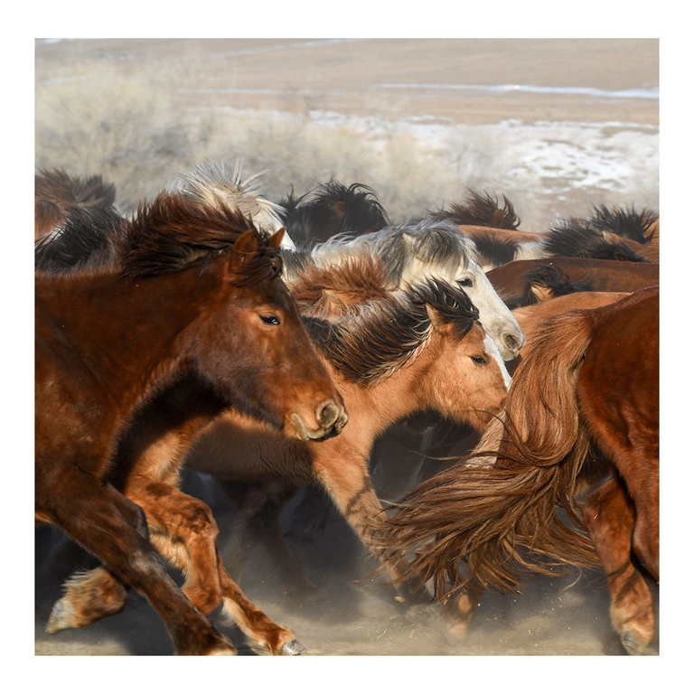 Oana Ivan Gallery - "There is a voice that does not use words - Listen" Rumi, Become the wind, Orkhon Valley, Mongolia , 2025.jpg