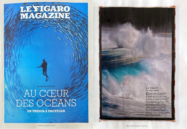 Oana Ivan Gallery - Le Figaro Magazine